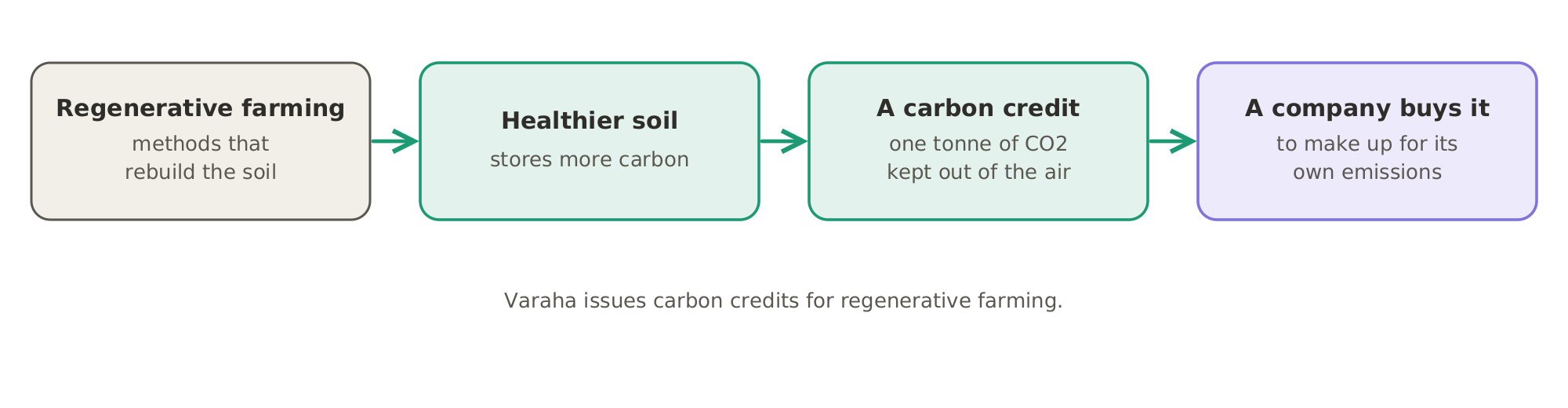 A carbon credit from a farm: regenerative farming rebuilds the soil, healthier soil stores more carbon, a carbon credit certifies that one tonne of carbon dioxide has been kept out of the air, and a company buys it to make up for its own emissions.