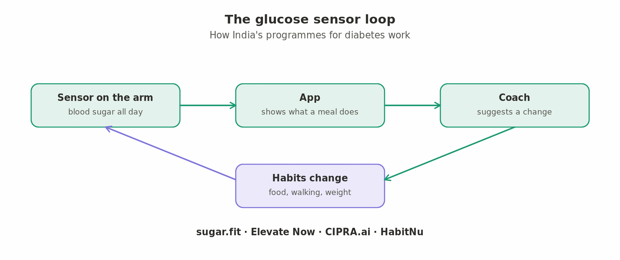 The glucose sensor loop: a continuous glucose monitor on the arm reads blood sugar all day, the app shows what a meal does to it, a coach suggests a change, and the habits change (sugar.fit, Elevate Now, CIPRA.ai, HabitNu).
